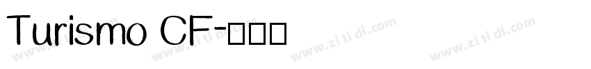 Turismo CF字体转换